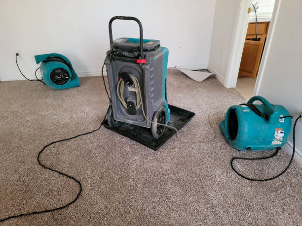 Carpet water damage restoration in Brooklyn Heights, OH