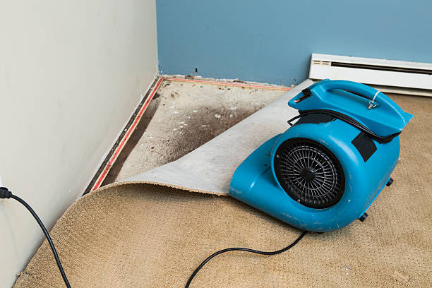 Best 24-hour water damage restoration  in Brooklyn Heights, OH